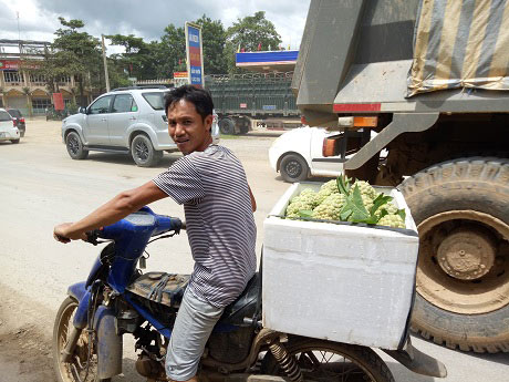 Na dai Mai Sơn quả to ngọt lịm, tư thương vào tận vườn thu mua - 4