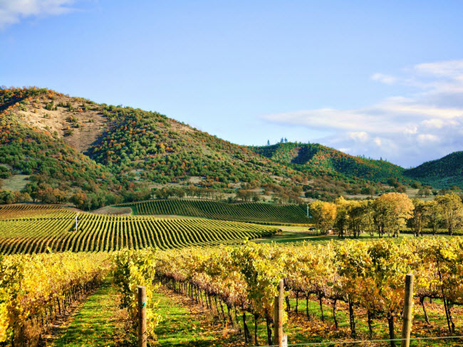 Những địa điểm tổ chức đám cưới "chất như nước cất" - 9