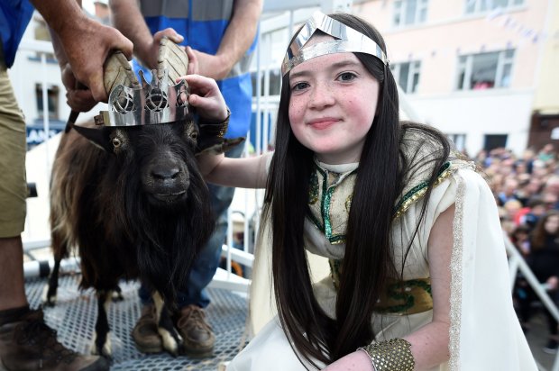 Mang dê núi về tôn làm vua ở Ireland - 2