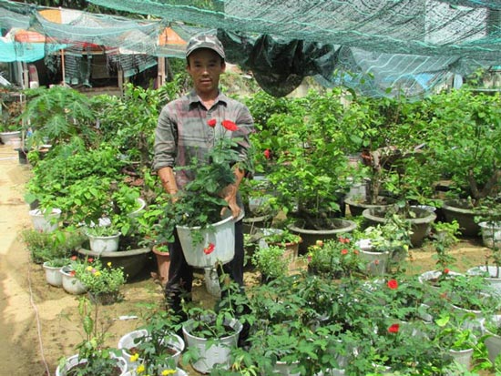 “Bỏ túi” 20 triệu/tháng từ trồng hoa trên đất dự án treo - 1