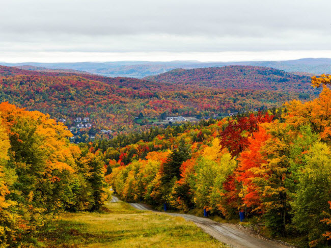 Quebec, Canada: Giữa đến cuối tháng 9 là thời điểm lý tưởng để cảm nhận hết sắc màu mùa thu ở Quebec, khi lá cây chuyển sang màu đỏ, vàng và cam. Để có trải nghiệm độc đáo, du khách nên ở tại một ngôi nhà Hobbit nằm giữa rừng cây.