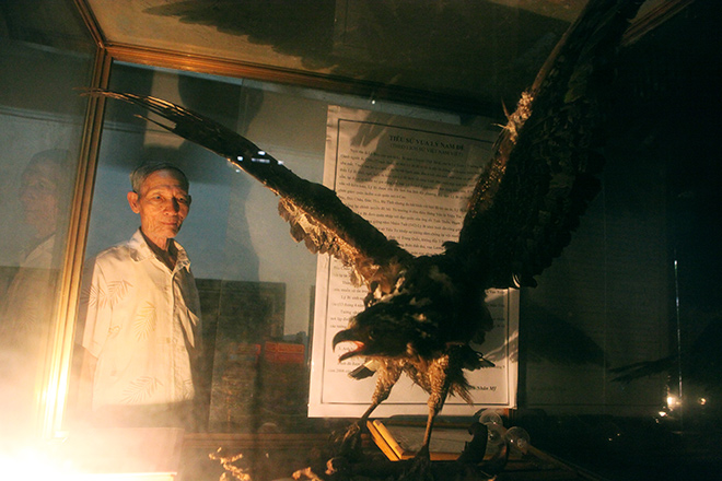 Chuyện chưa biết về "cụ" đại bàng được ướp xác độc nhất Thủ đô - 3