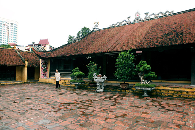 Chuyện chưa biết về "cụ" đại bàng được ướp xác độc nhất Thủ đô - 2