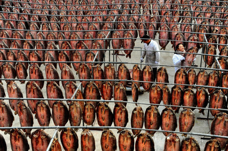 Choáng với những nhà máy thực phẩm “khủng” ở Trung Quốc - 4