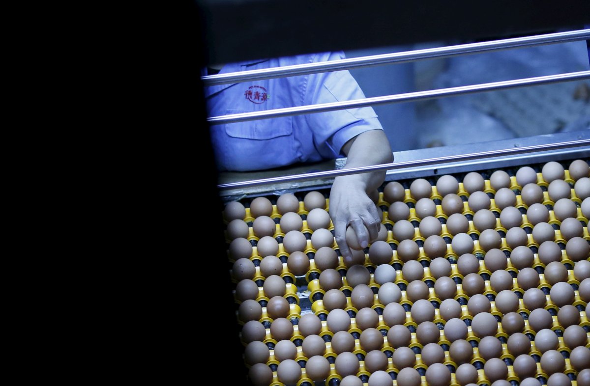 Choáng với những nhà máy thực phẩm “khủng” ở Trung Quốc - 15