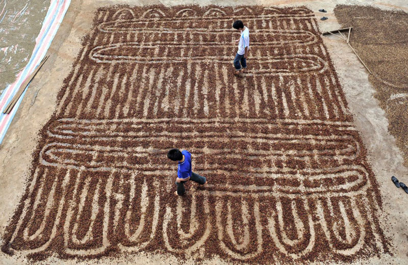 Choáng với những nhà máy thực phẩm “khủng” ở Trung Quốc - 18