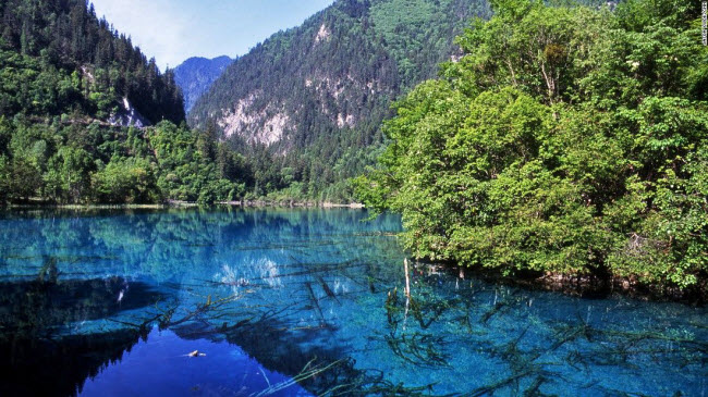 Khu thắng cảnh Cửu Trại Câu, Trung Quốc: Tại đây, du khách có thể chiêm ngưỡng sắc màu đang dạng của thiên nhiên và những thân cây cổ đại nằm dưới nước trong vắt của hồ Ngũ Hoa.