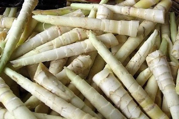 Rau rừng giá tới 120.000 đồng/kg vẫn được chị em săn đón - 2