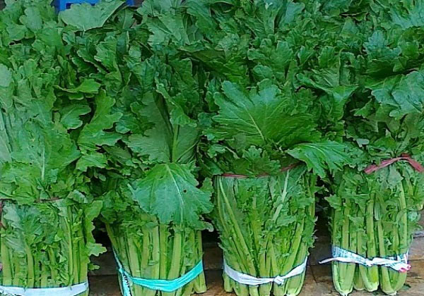 Rau rừng giá tới 120.000 đồng/kg vẫn được chị em săn đón - 3