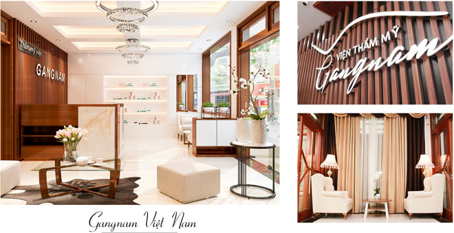 Đại gia tỷ đô Hàn Quốc “dốc tiền” vào ngành thẩm mỹ Việt Nam - 6