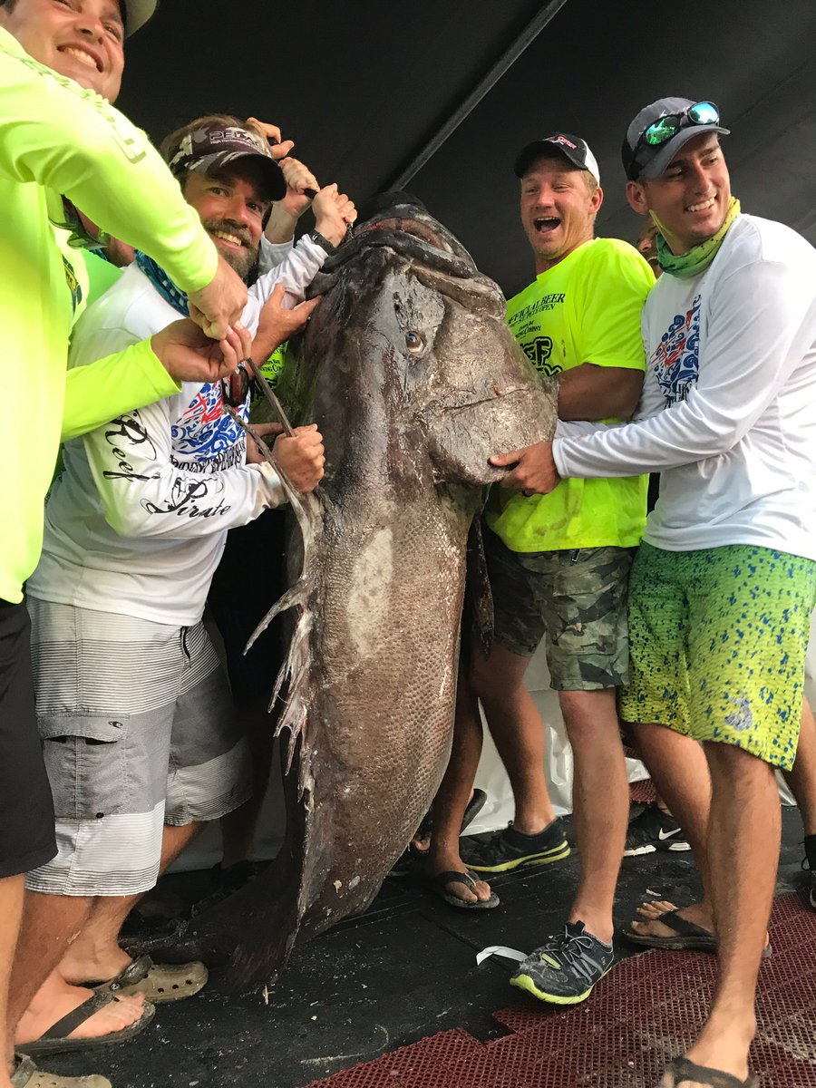 Mỹ: Lặn biển, bắt được cá mú khổng lồ to gấp đôi người - 3