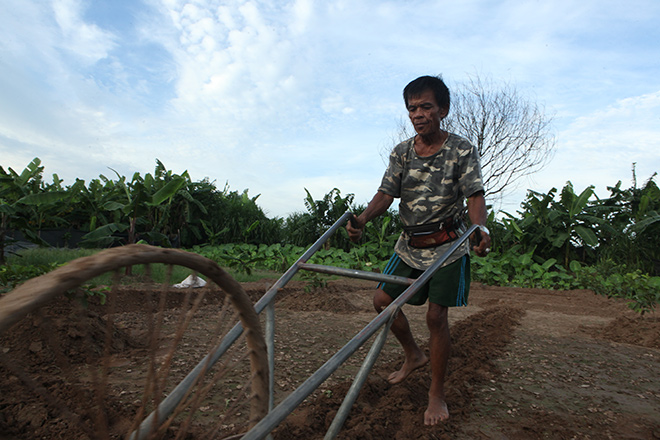 Gặp Được &#34;đen&#34; - &#34;linh hồn sống&#34; ở bãi giữa sông Hồng - 3