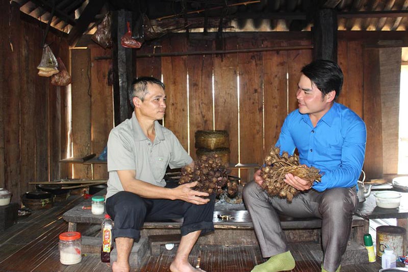 Tỏi tía ngon hảo hạng trồng nơi mây mù nhưng... giá siêu rẻ - 1