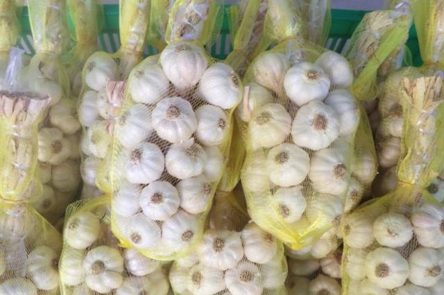 Tỏi tía ngon hảo hạng trồng nơi mây mù nhưng... giá siêu rẻ - 4