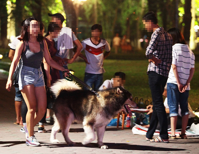 Nóng 24h qua: Ông Hải đề nghị “trảm” chủ tịch phường để lấn chiếm vỉa hè - 4