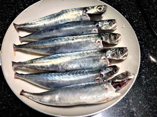 "Vét nồi" với cá nục kho tiêu đậm đà - 2