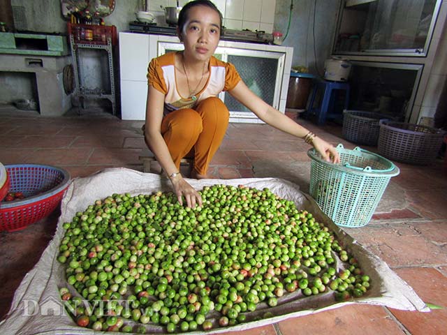 Về "vương quốc" sơ ri: Đỏ đỏ, xanh xanh, nhanh nhanh hốt bạc - 3