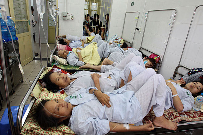 Vì sao Việt Nam chưa có vắc-xin phòng chống sốt xuất huyết? - 1