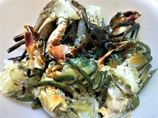 Cua rang me lai rai ngày nghỉ lễ - 2