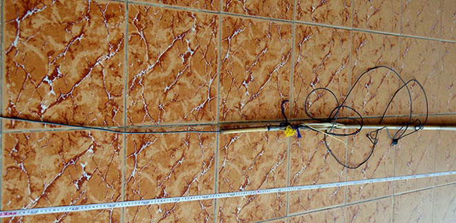 "Giở trò" với bé gái 9 tuổi rồi cướp 20 nghìn đồng - 2