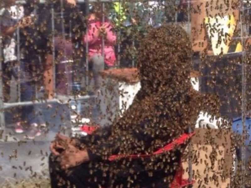 Lập kỷ lục để 100.000 ngàn con ong bu kín người - 1
