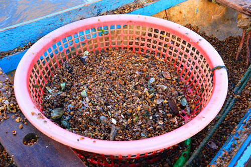 Nghề độc: “Chồng cào, vợ đãi”... kiếm nửa triệu dưới đáy sông - 4