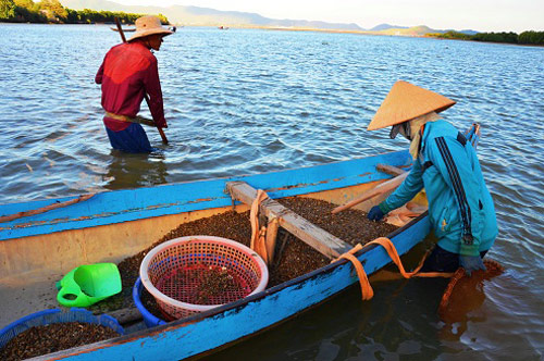Nghề độc: “Chồng cào, vợ đãi”... kiếm nửa triệu dưới đáy sông - 7