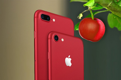 Đã có giá bán chi tiết iPhone 8, bản đắt nhất giá 27,2 triệu đồng - 1