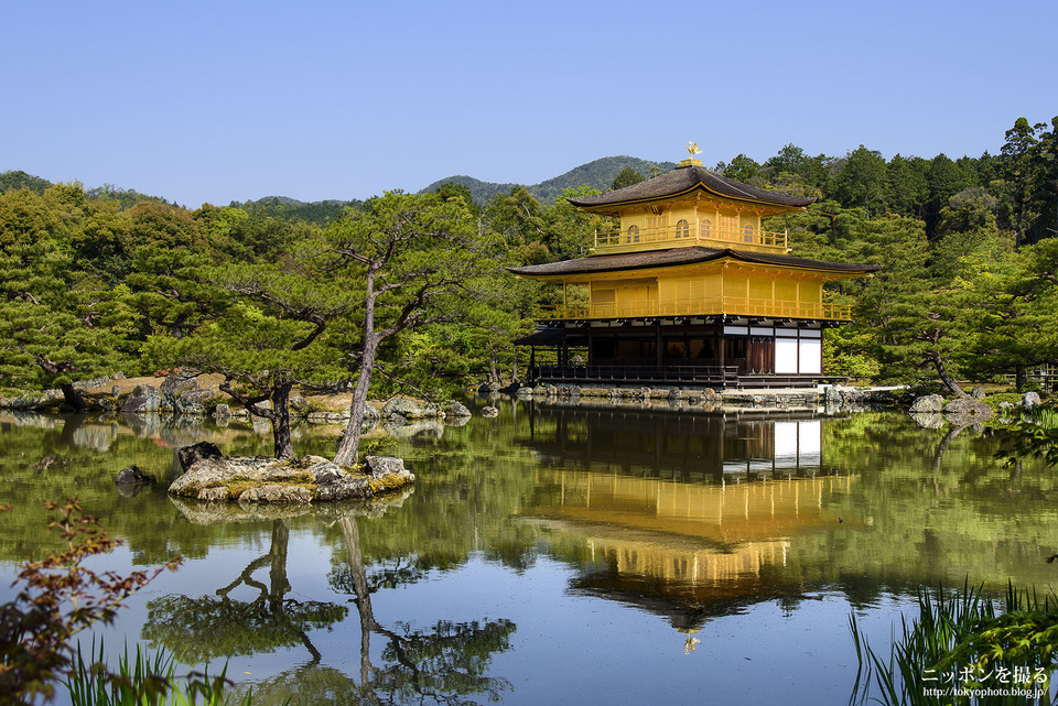 Choáng ngợp ngôi chùa được dát bằng vàng thật ở Nhật Bản - 1