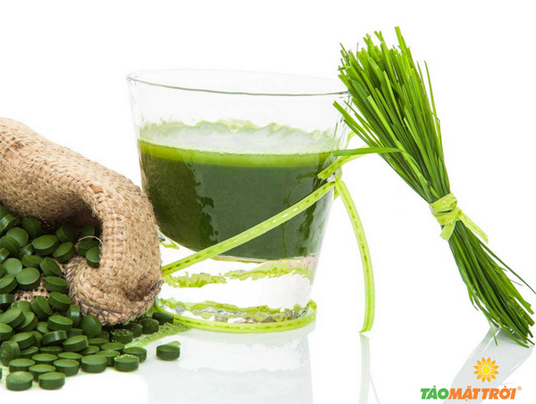 Bật mí: Bí mật giúp người gầy tăng cân thành công - 2