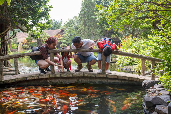 Giới trẻ kéo nhau đến Vườn Xoài chụp ảnh thiên nhiên đẹp như tranh - 2