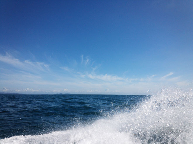 Kinh nghiệm du lịch Cô Tô tự túc 2 ngày "ngon-bổ-rẻ" - 3