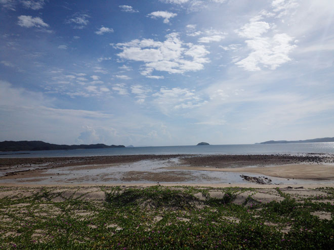 Kinh nghiệm du lịch Cô Tô tự túc 2 ngày "ngon-bổ-rẻ" - 20