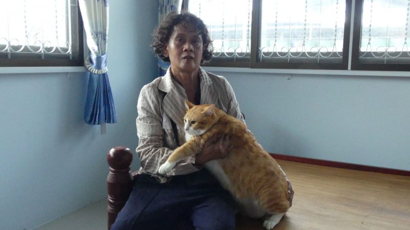 Kinh dị cảnh trăn “khủng” bị ép nôn trả vật nuôi ở Thái Lan - 7