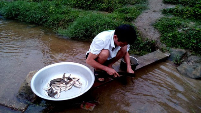 44 thầy giáo biên viễn được vinh danh “Nhân vật của năm” - 2