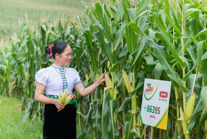 Giảm phụ thuộc nhập khẩu: Đột phá từ công nghệ sinh học - 1