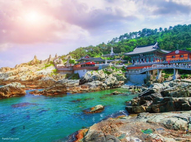 Thành phố Busan cũng được biết đến với các bãi biển đẹp, suối nước nóng và núi non hùng vĩ. Ảnh: Ngôi đền nằm sát biển Haedong Yonggungsa ở thành phố Busan.