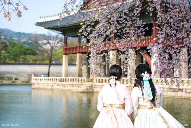 Hành trình tham thủ đô Seoul sẽ đưa du khách tới các địa điểm nổi tiếng như tòa tháp N Seoul, cung điện Gyeongbokgung (ảnh), vùng Insadong,…