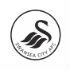 Chi tiết Swansea - Newcastle: Bất lực mất 3 điểm (KT) - 1