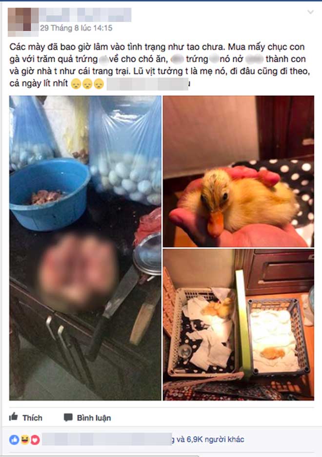 Cười rơi răng với 10 status &#34;HOT&#34; nhất tuần qua - 3