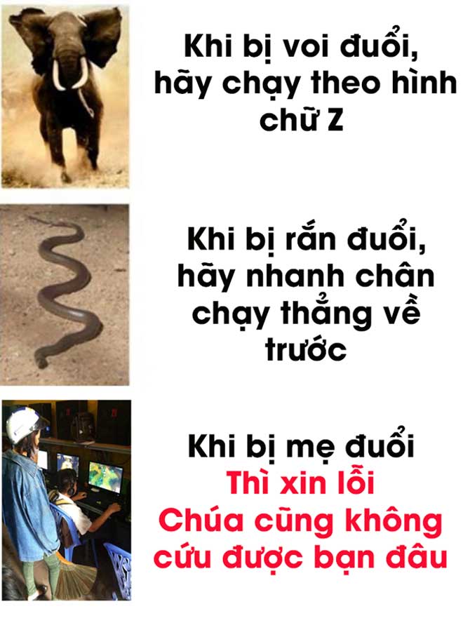 Cười rơi răng với 10 status &#34;HOT&#34; nhất tuần qua - 8
