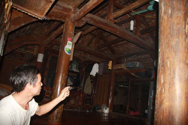 Làm giàu ở nông thôn: Một cây dổi đổi cả...chỉ vàng - 9