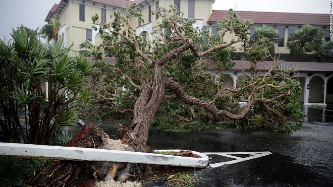 Florida tan hoang xơ xác sau khi siêu bão Irma càn quét - 11