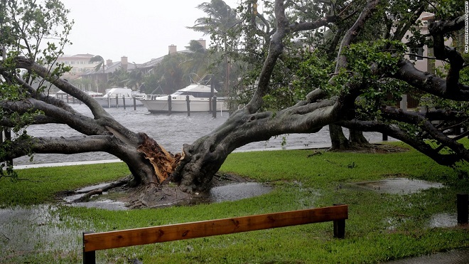 Florida tan hoang xơ xác sau khi siêu bão Irma càn quét - 7