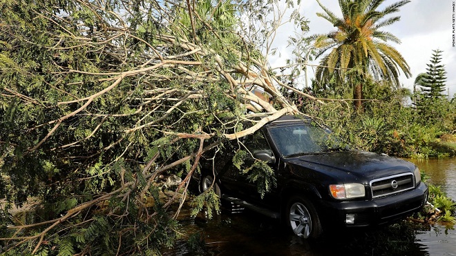 Florida tan hoang xơ xác sau khi siêu bão Irma càn quét - 14