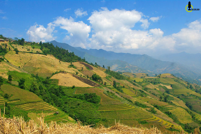 Xách ba lô đi tìm một mùa vàng rất khác ở Mường La - 6