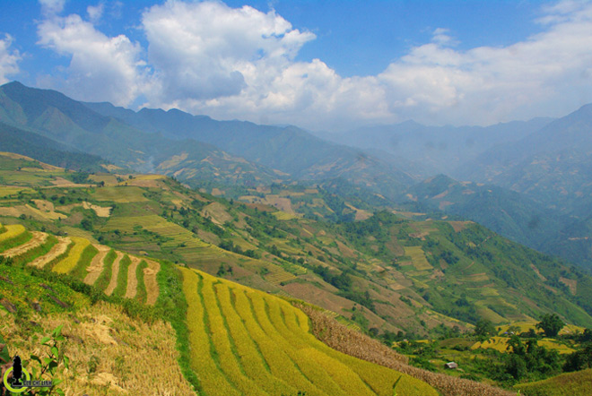 Xách ba lô đi tìm một mùa vàng rất khác ở Mường La - 11