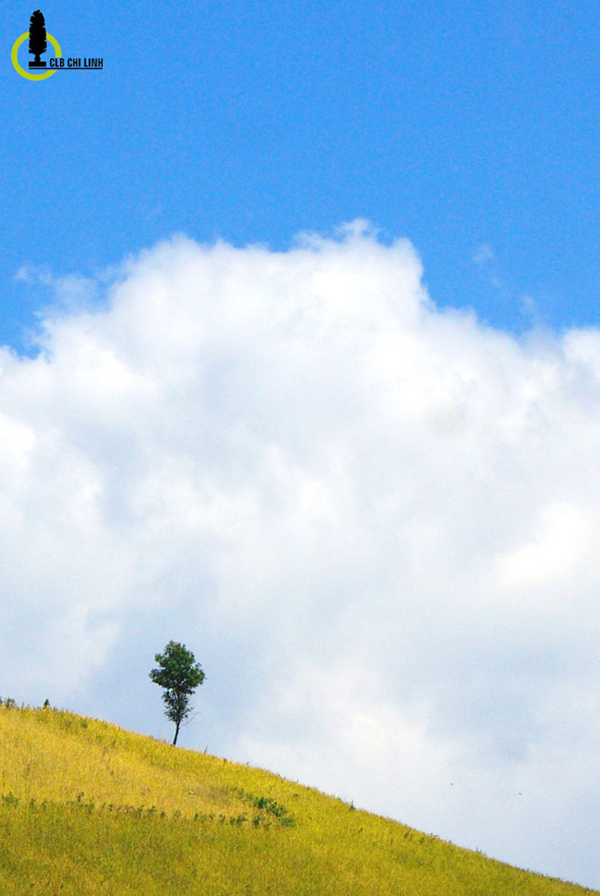 Xách ba lô đi tìm một mùa vàng rất khác ở Mường La - 7