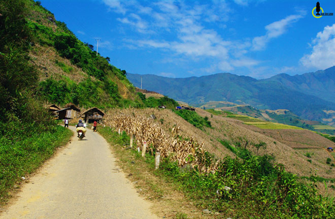 Xách ba lô đi tìm một mùa vàng rất khác ở Mường La - 5