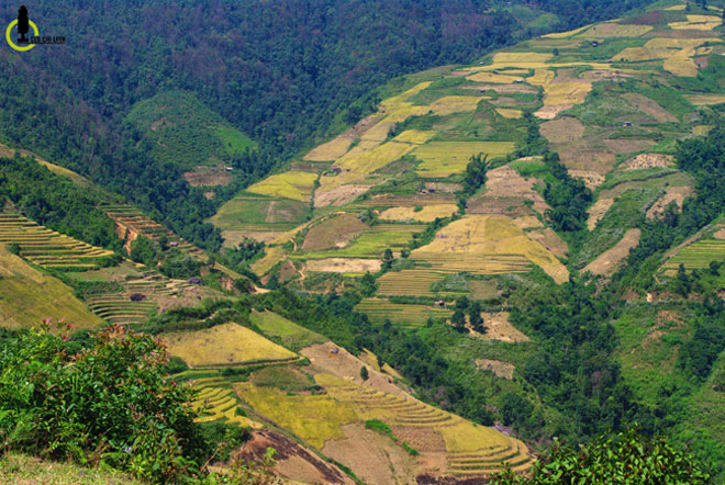 Xách ba lô đi tìm một mùa vàng rất khác ở Mường La - 9